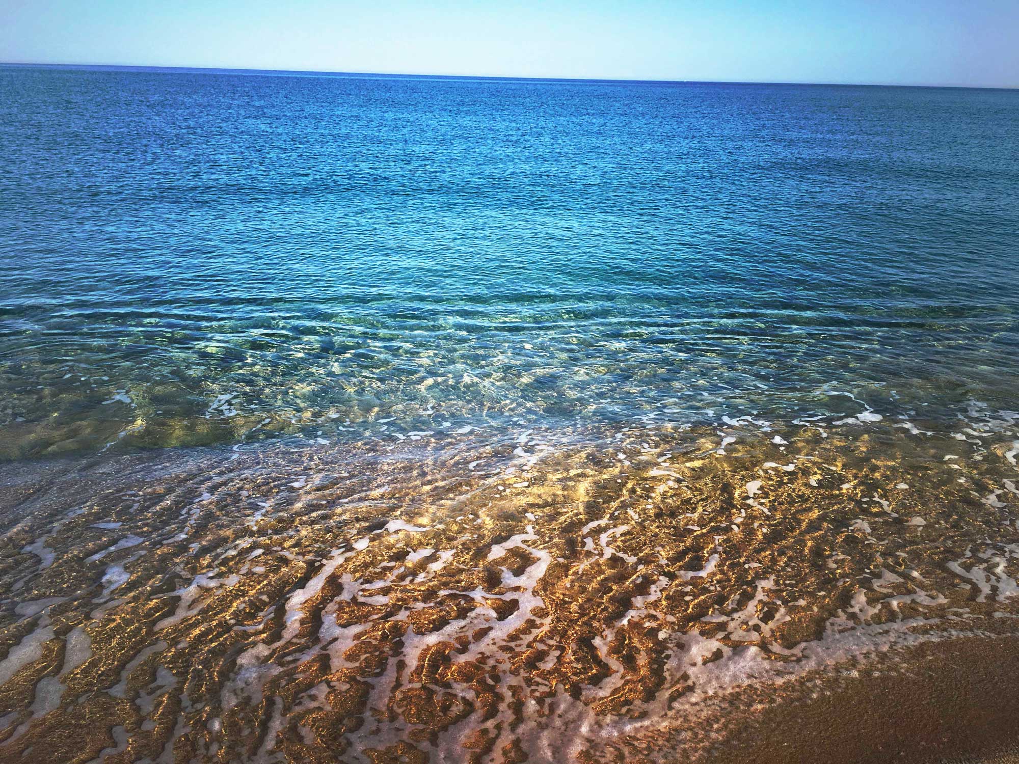 img 0565
